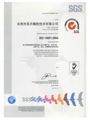 ISO9001-EN